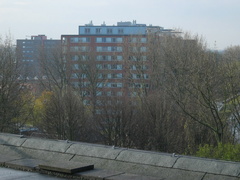 Roomburgh 62