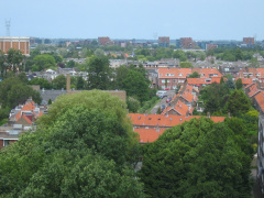 roomburgh 52