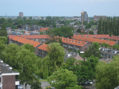 roomburgh 54
