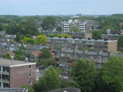 roomburgh 56