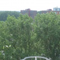 roomburgh 66