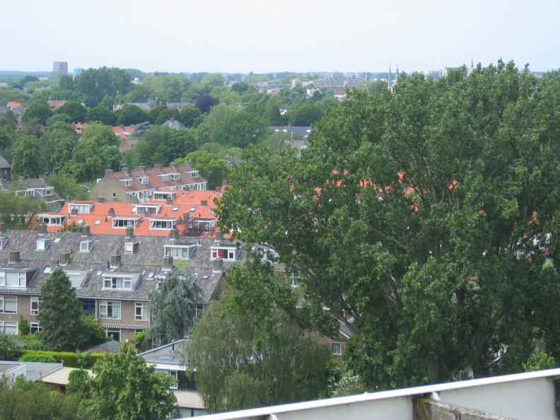 roomburgh_72.jpg