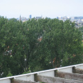 roomburgh 73