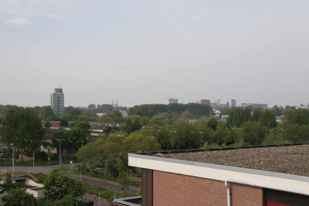 IMG 4511