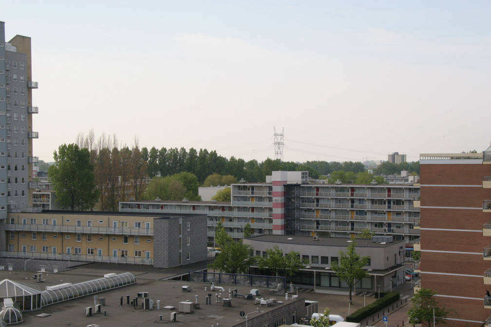 IMG 4514