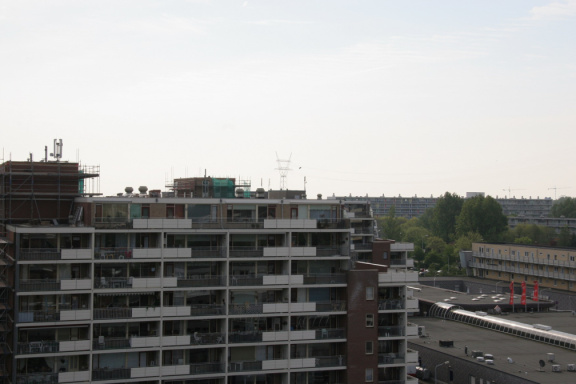 IMG 4516