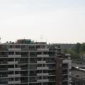 IMG 4516