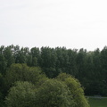 IMG 4518