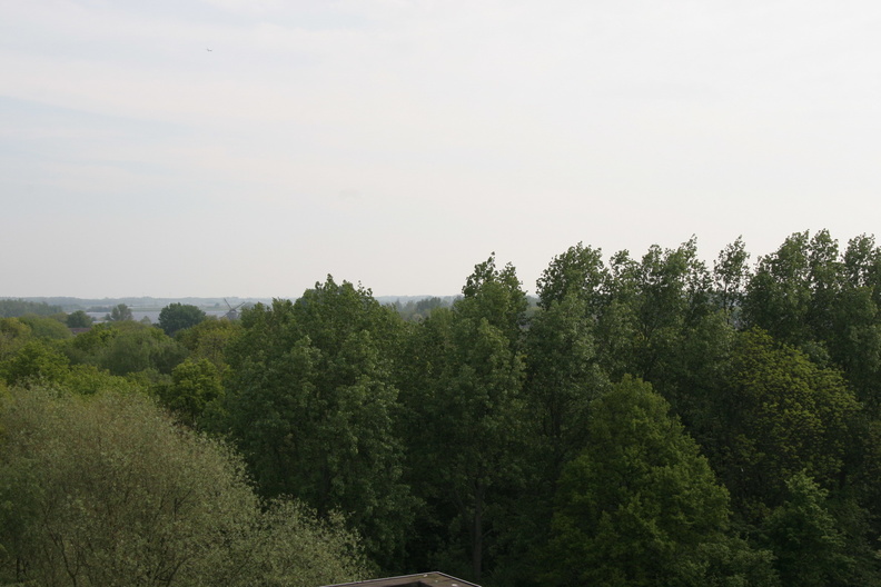 IMG_4519.JPG