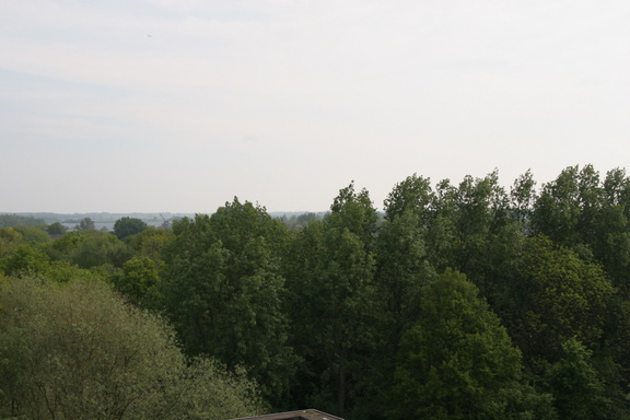IMG 4519