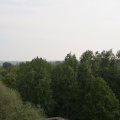 IMG 4519