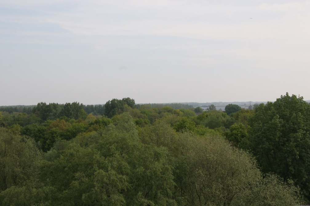 IMG 4520