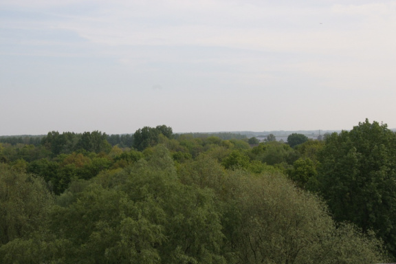 IMG 4520