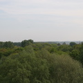 IMG 4520