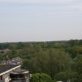 IMG 4521