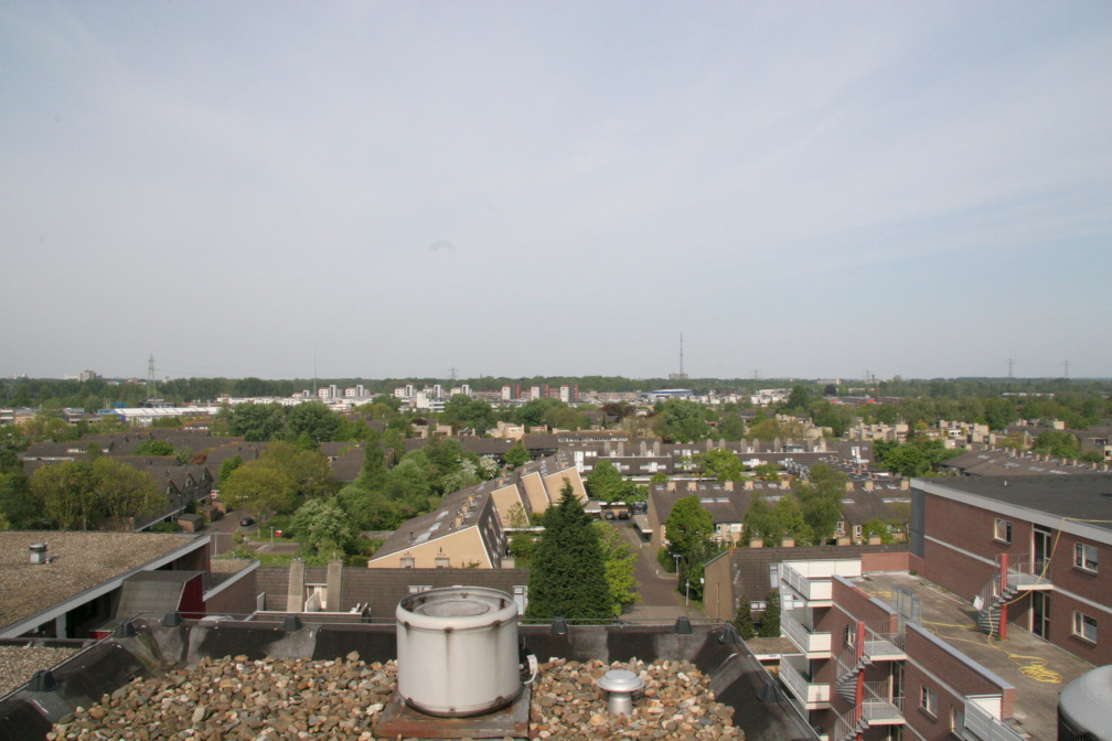 IMG 4541
