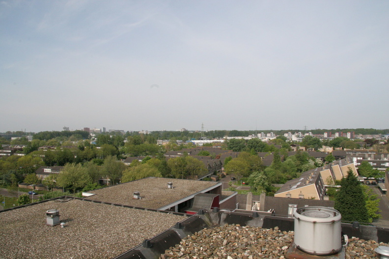 IMG_4542.JPG