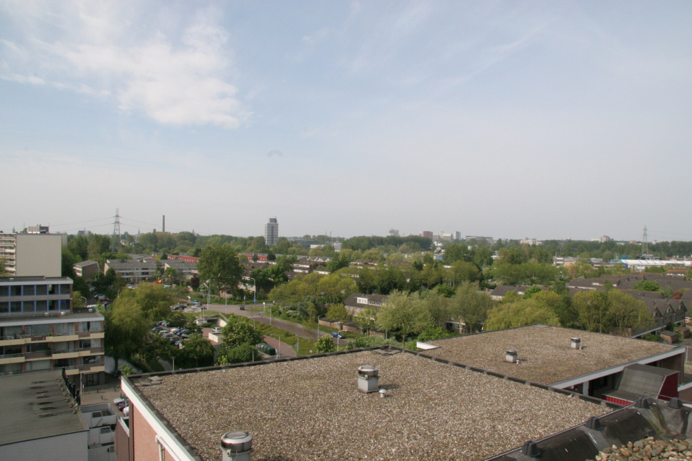 IMG 4543