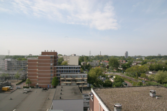 IMG 4544