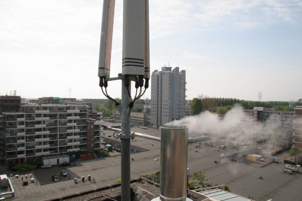 IMG 4546