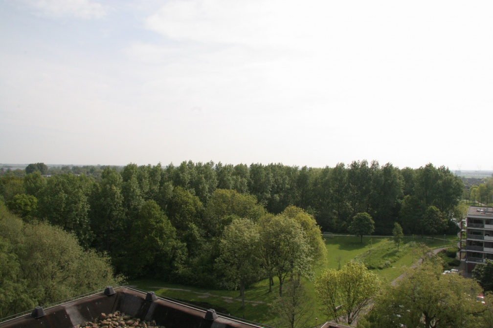 IMG 4549