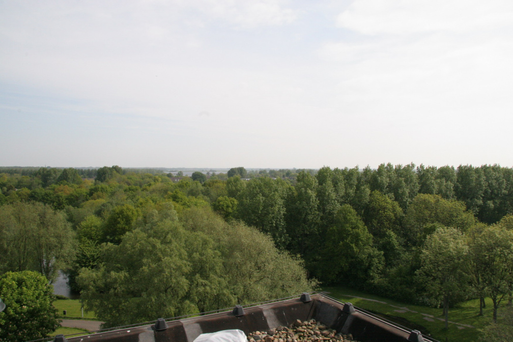 IMG 4550