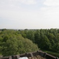 IMG 4550