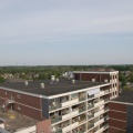 IMG 4553