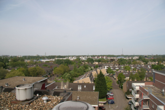 IMG 4555