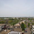 IMG 4555