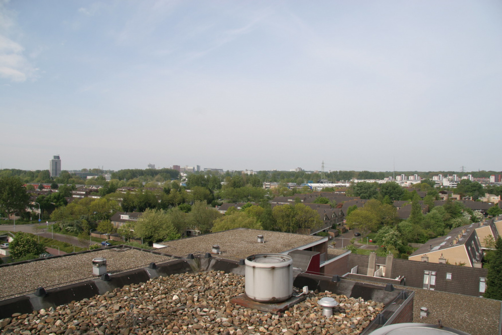 IMG 4556