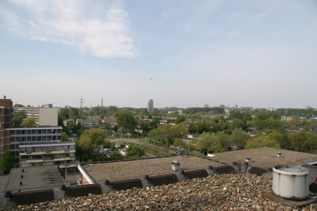 IMG 4557