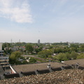 IMG 4557