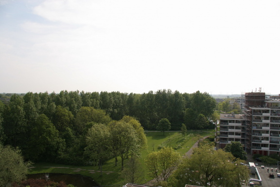 IMG 4563