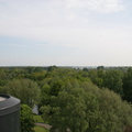 IMG 4565