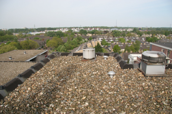 IMG 4572