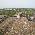 IMG 4572