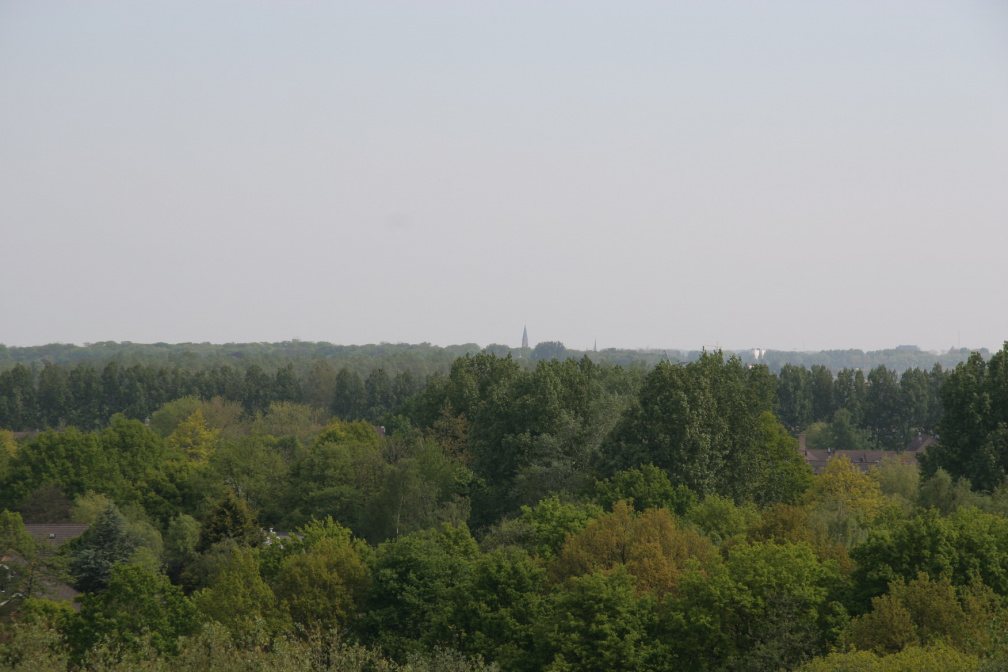 IMG 4578