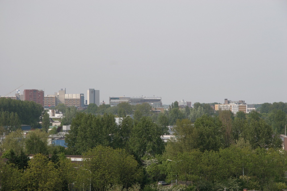 IMG 4579