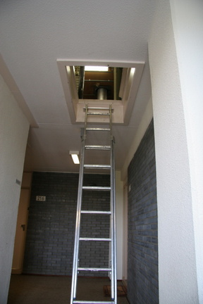 IMG 4529