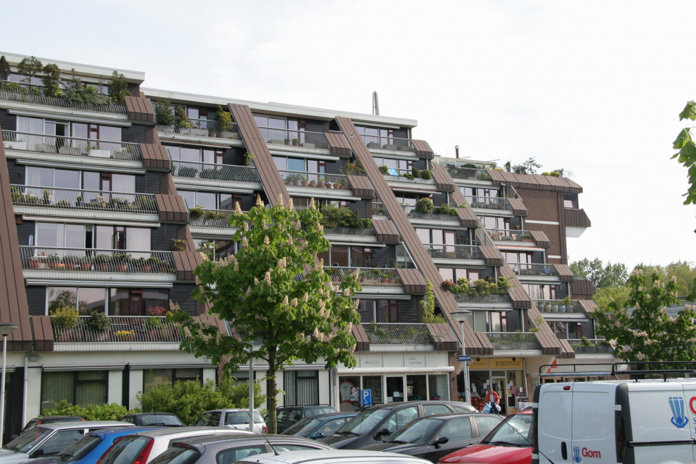 IMG 4595