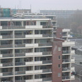 rosmolen0010