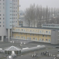 rosmolen0012