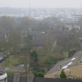 rosmolen0022