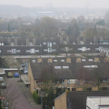 rosmolen0024