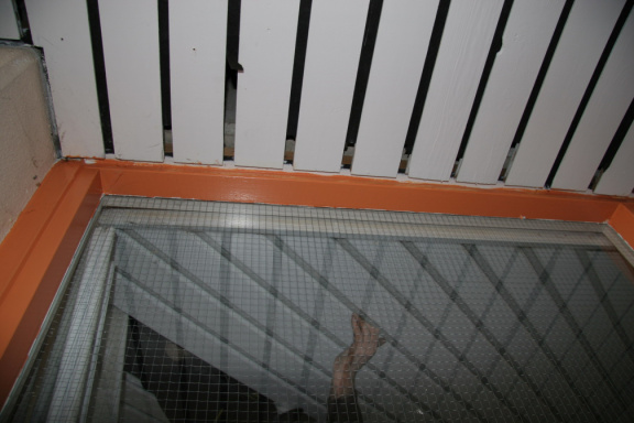 IMG 4611