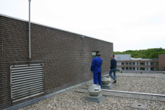 IMG 0795