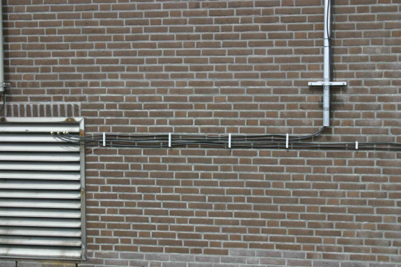 IMG 0808