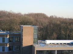 Rustenborch30050