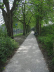 Singelpark20